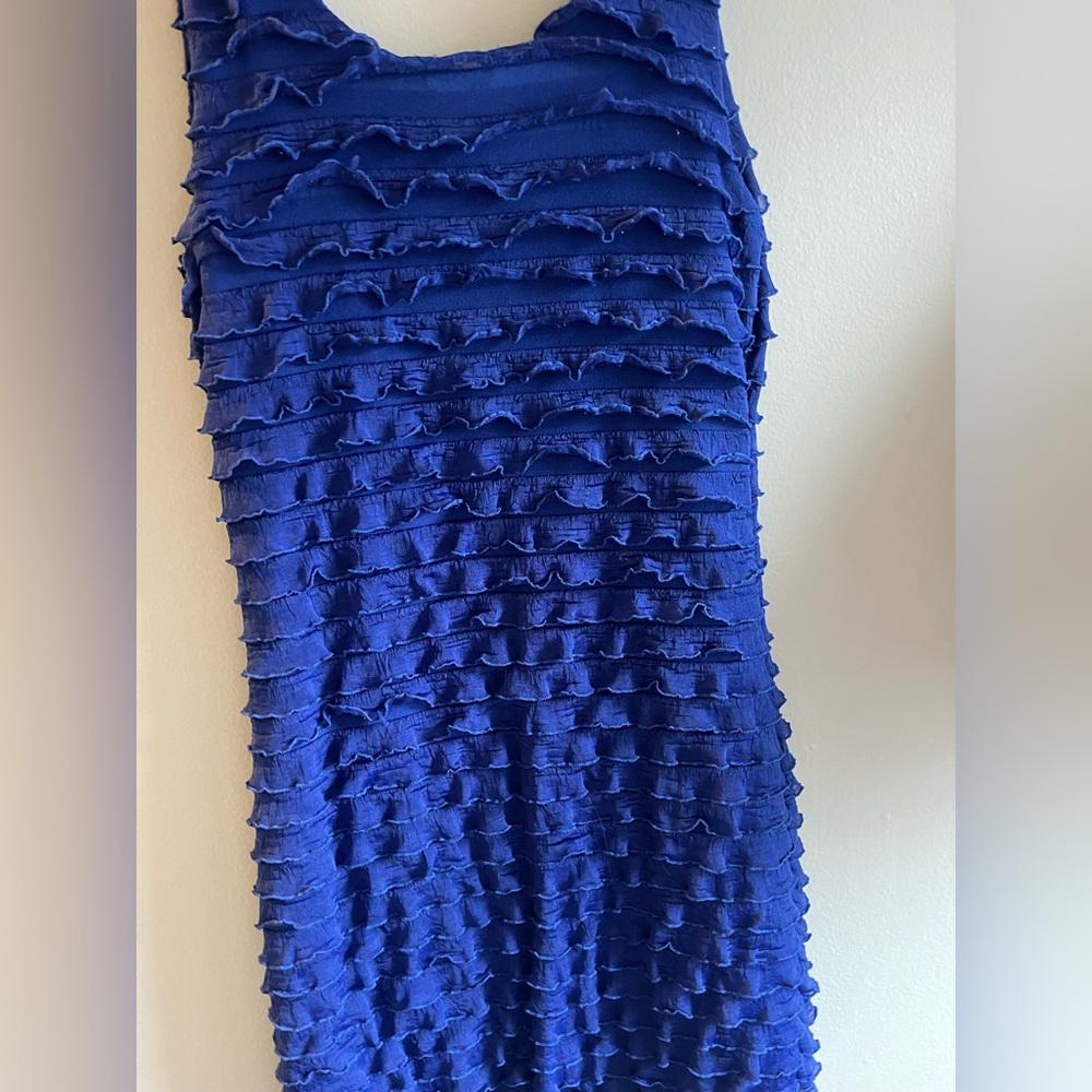 Blue Ruffled Sleeveless Top - Picture 4 of 4